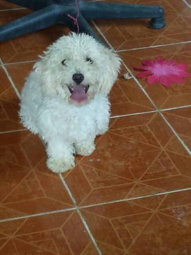 a los 5 meses a los 5 meses